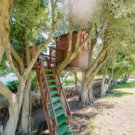 ヴィラ Serao Camilla By Myvillacollection イスキア島