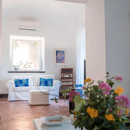 Serao Camilla By Myvillacollection ヴィラ