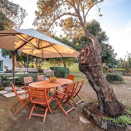 Serao Camilla By Myvillacollection *