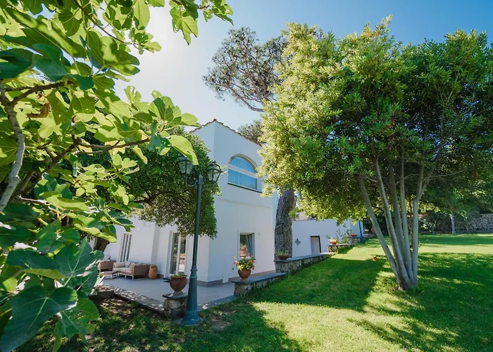 Serao Camilla By Myvillacollec...